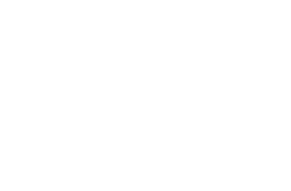 Footer logo 6