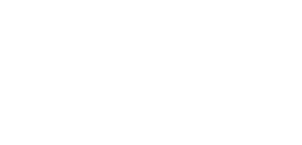 Footer logo 3