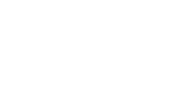 Footer logo 7
