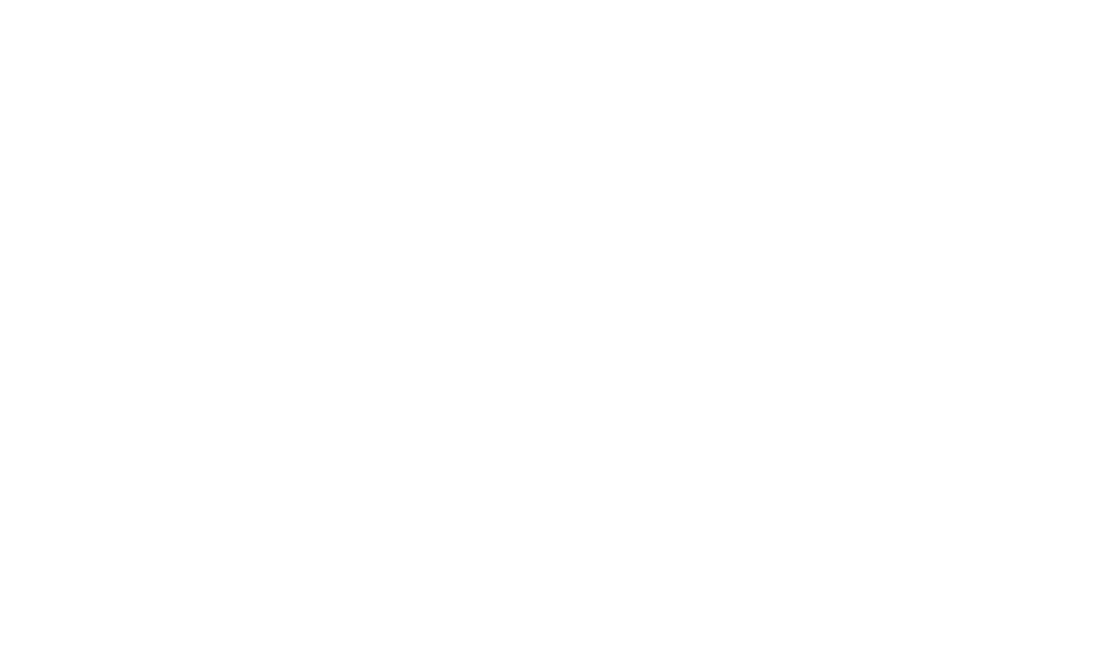 Footer logo 1