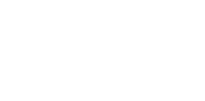 Footer logo 4