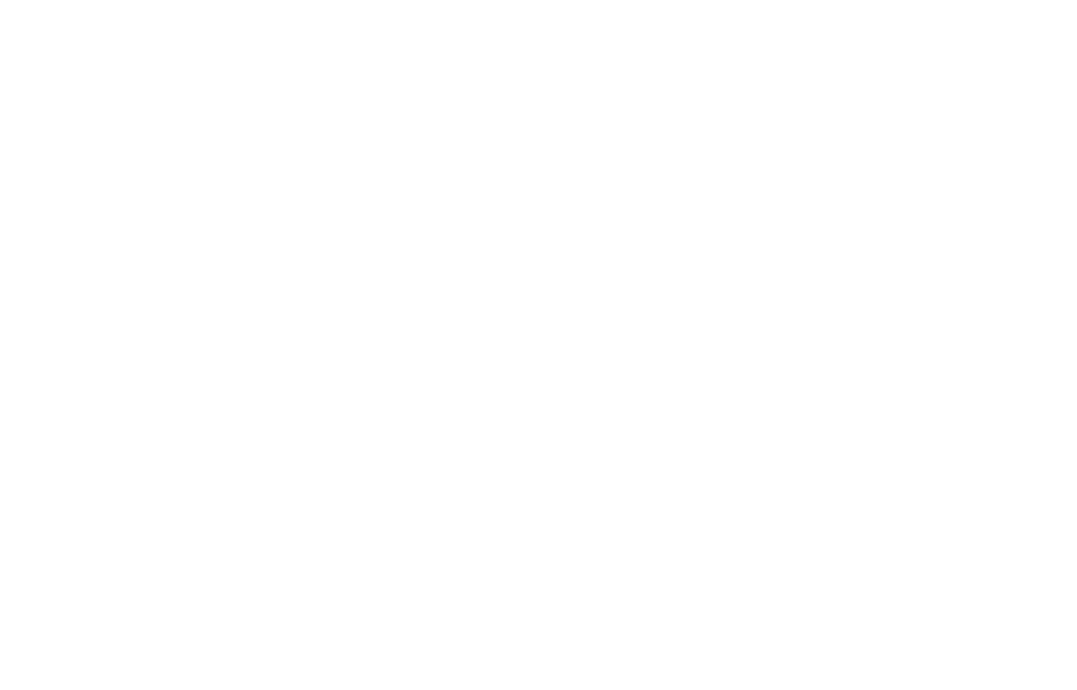Footer logo 7