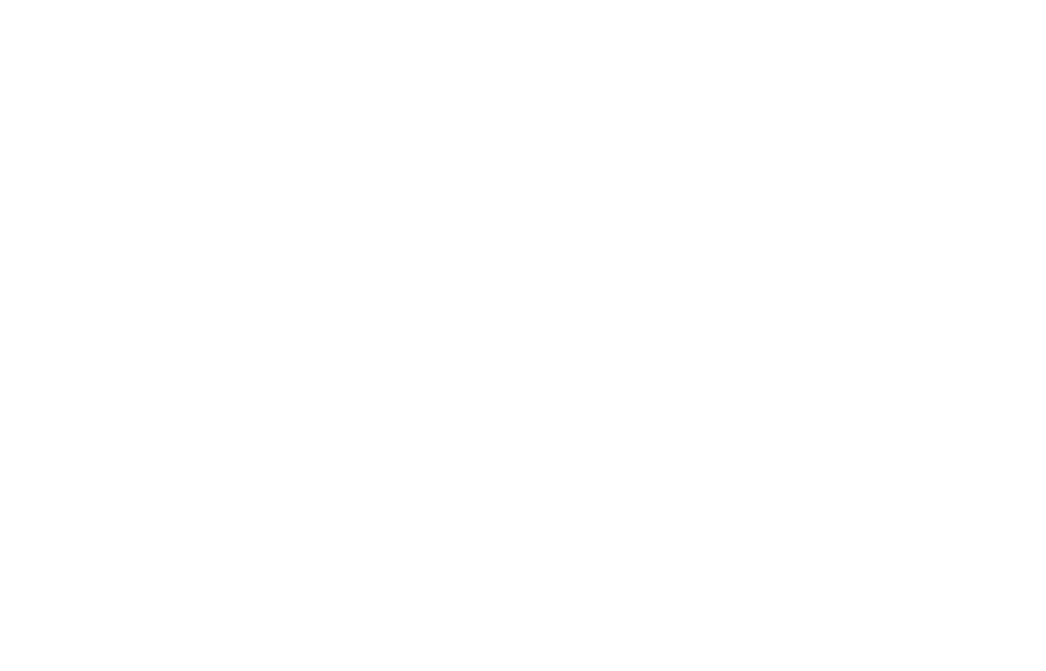 Footer logo 1