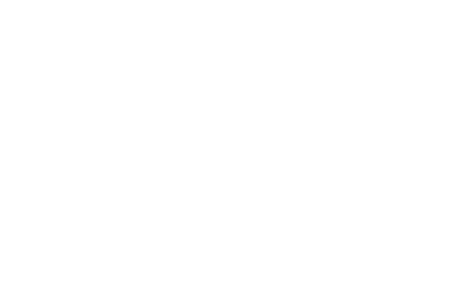 Footer logo 3
