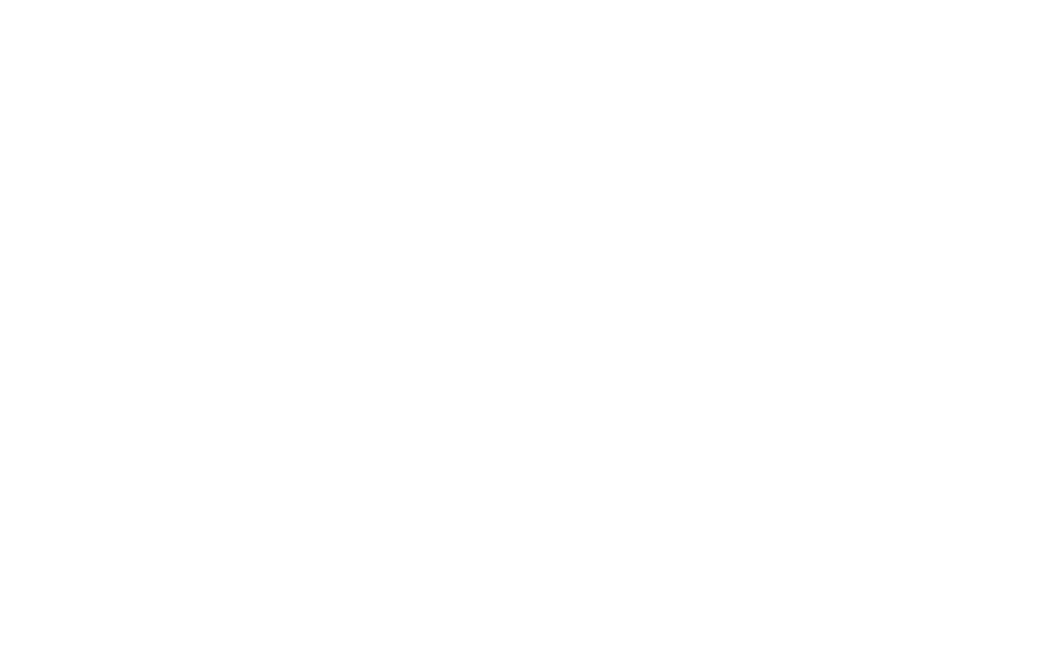Footer logo 4